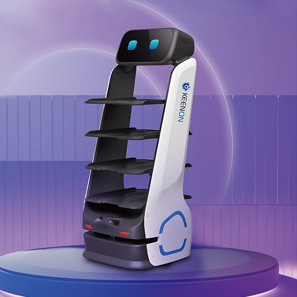 Delivery Robot for Restaurant andfood service places, us only